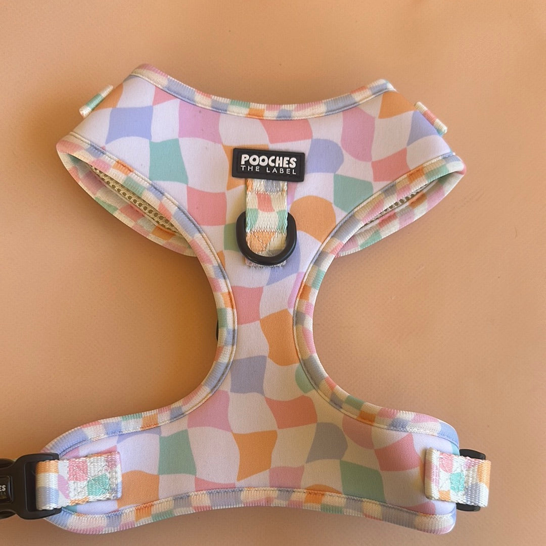 Sherbet Dream - medium - Marks