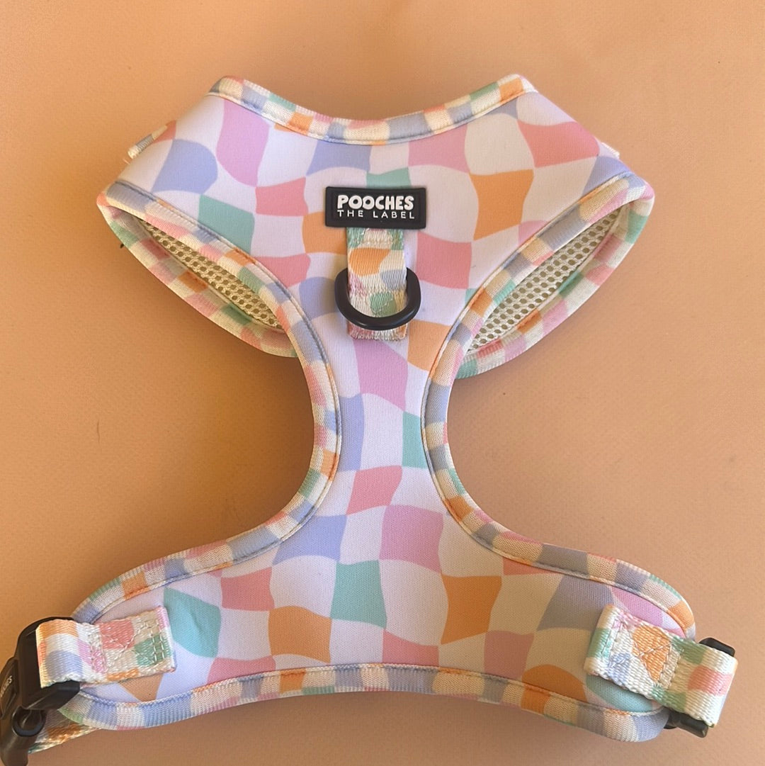 Sherbet Dream - Medium - mark