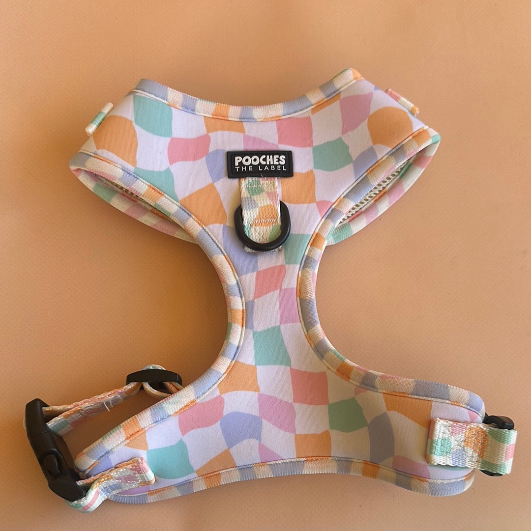 Sherbet Dream - Medium - pilling