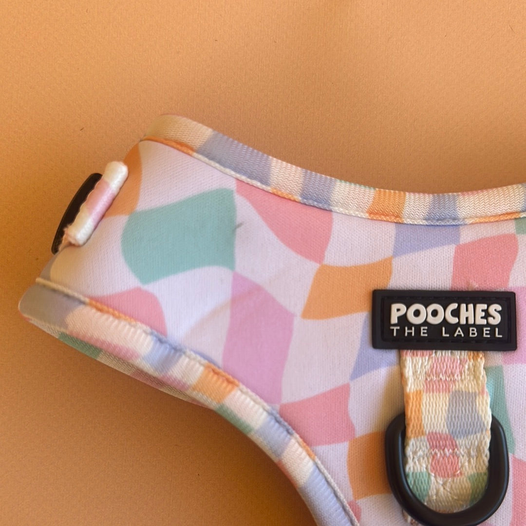 Sherbet Dream - Medium - mark