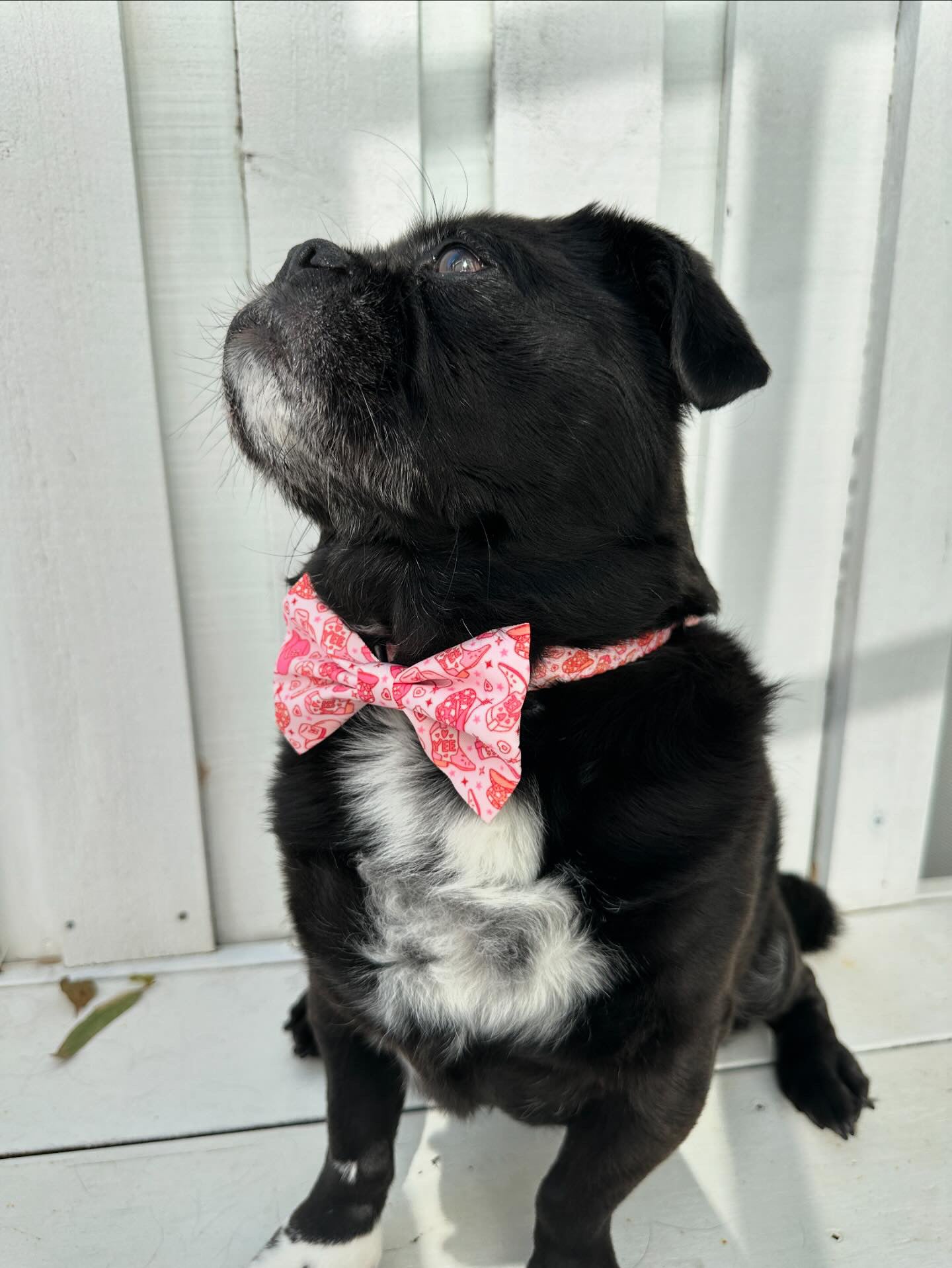Rosie Rodeo Bow