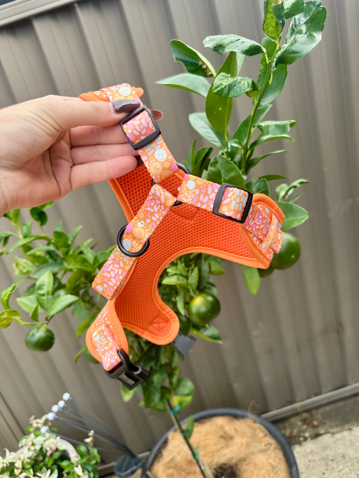 Orange Bloom Harness without Strap