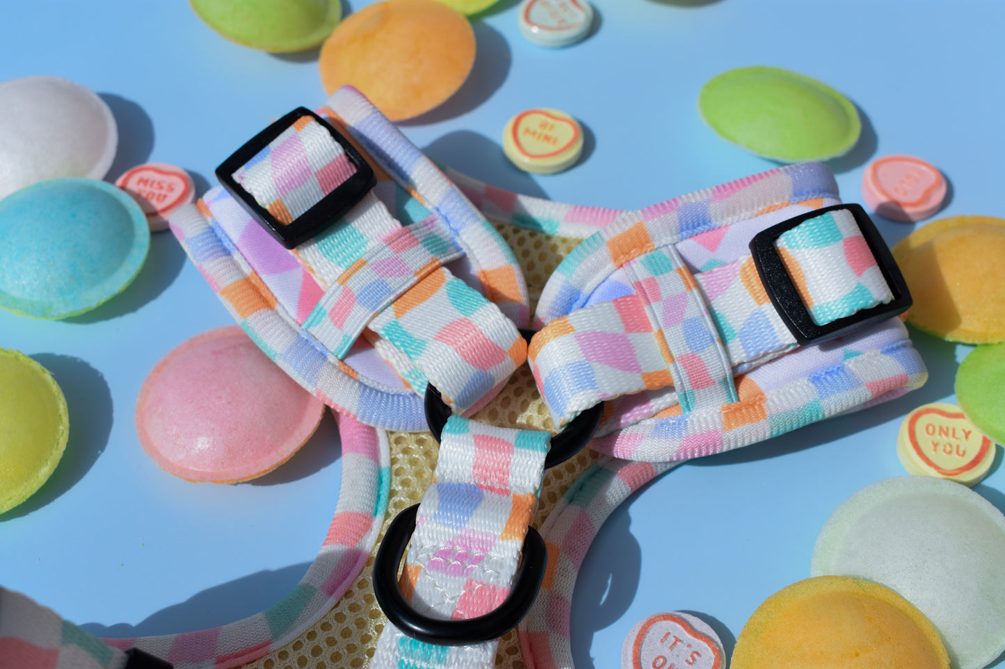Sherbet Dream Harness