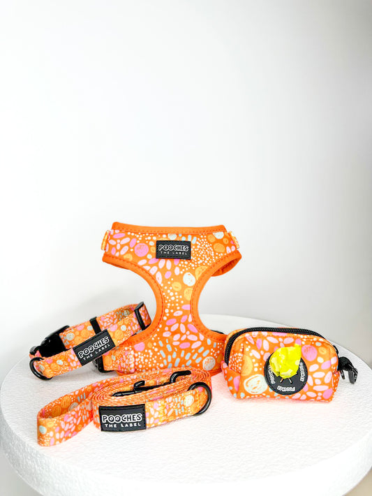 Orange Bloom Set