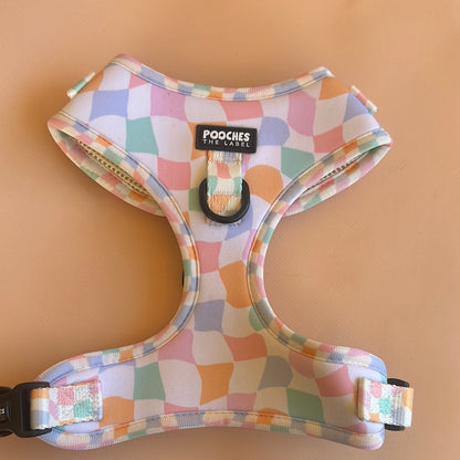 Sherbet Dream - medium - Marks