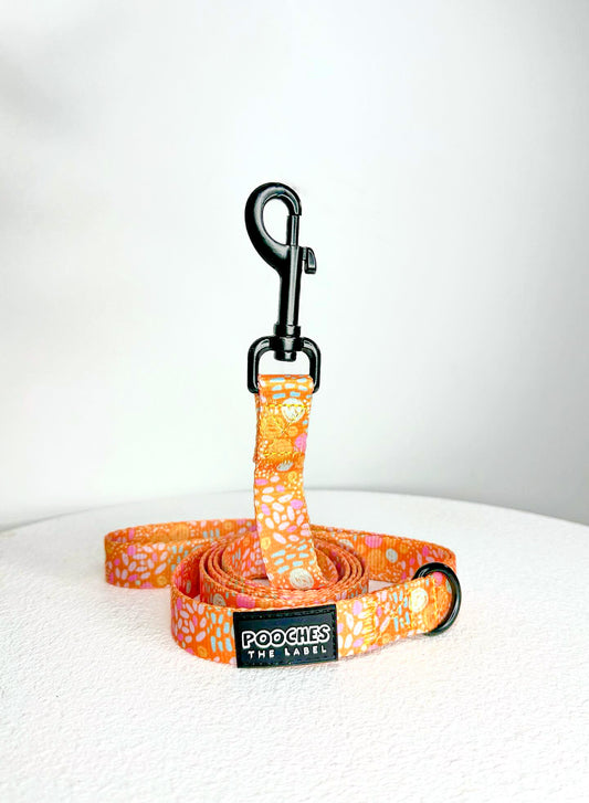 Orange Bloom Leash