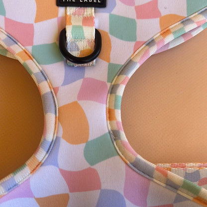 Sherbet Dream - Large - Stitching