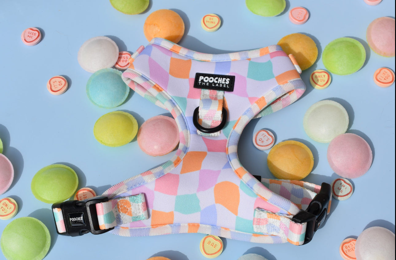 Sherbet Dream - Medium - slight pill & mark