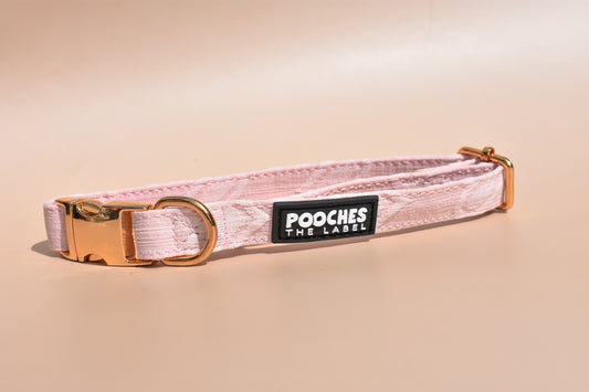 True Love Collar
