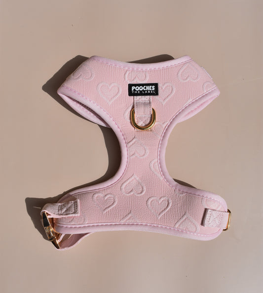 True Love Harness