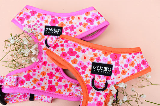 Blossom Burst Harness