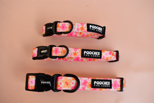 Blossom Burst 2.0 Collar