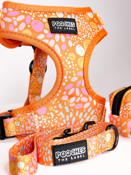 Orange Bloom Harness