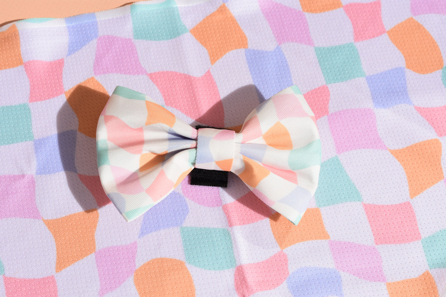 Sherbet Dream Bow