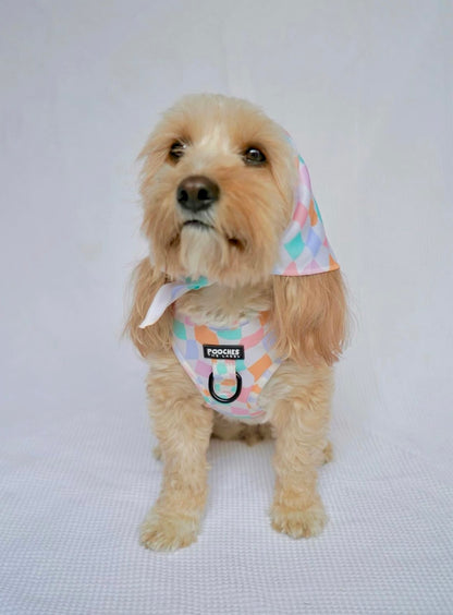 Sherbet Dream Bandana
