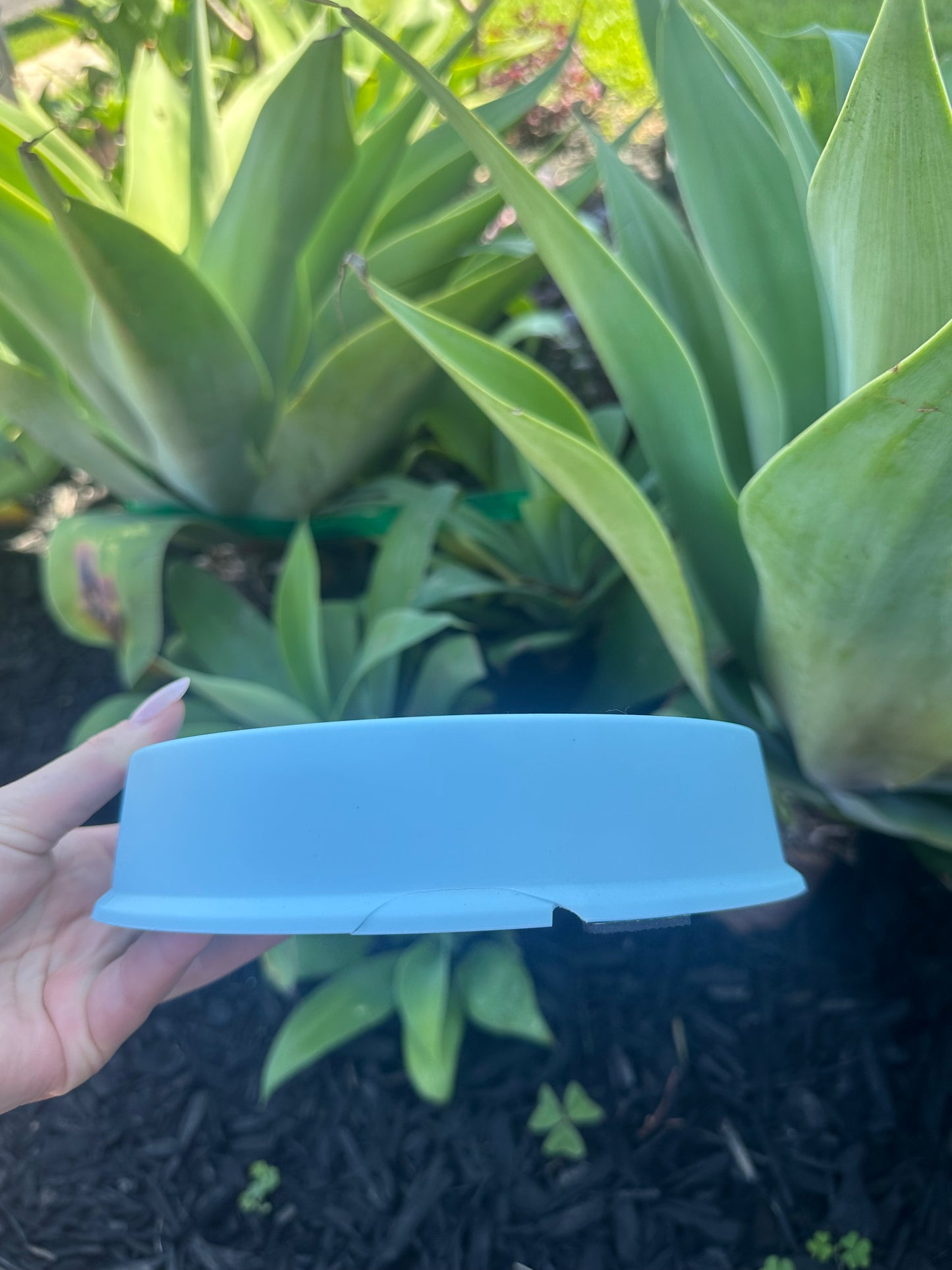 Blue Slow Feeder Bowl