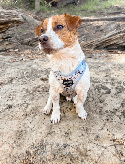 Bolted Blue Harness