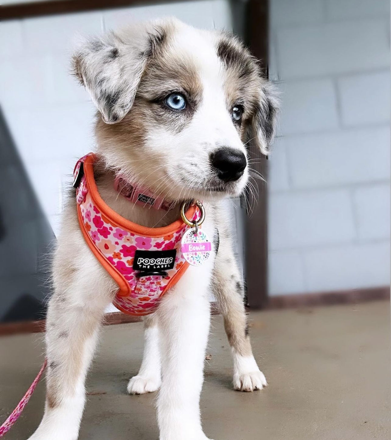Blossom Burst Harness