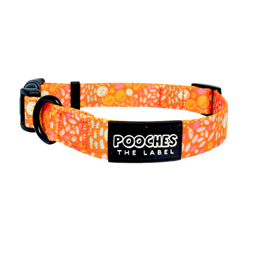 Orange Bloom Collar