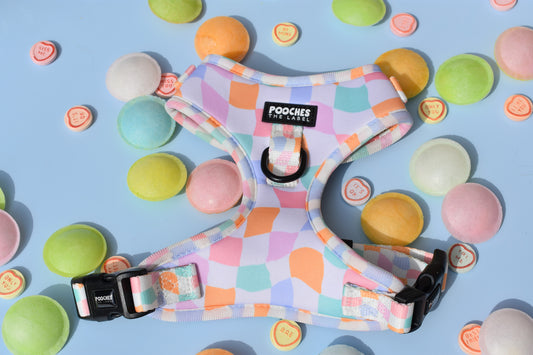 Sherbet Dream Harness