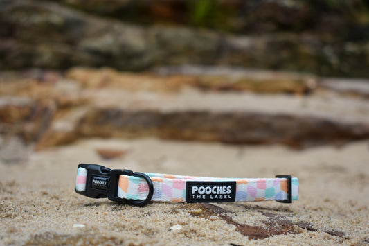 Sherbet Dream Collar